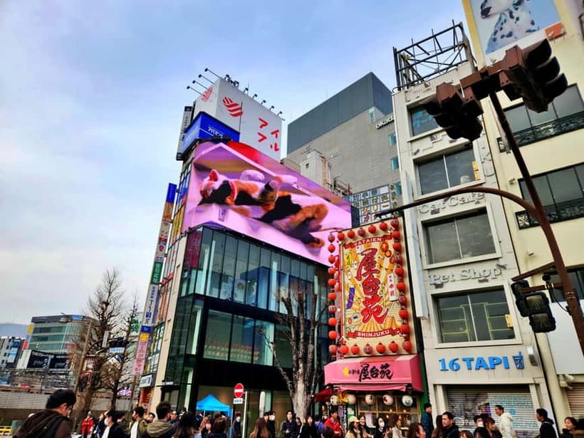 Tokyo: Private & Customizable Tour - All-in-One Experience - Price, inclusions, and what you still pay