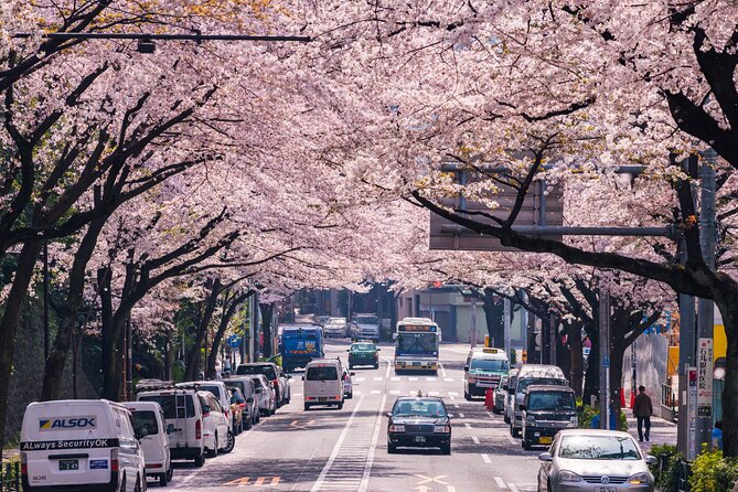 Tokyo Private Customizable Tour with English Speaking Chauffeur - Tokyo Tower and the Imperial Palace