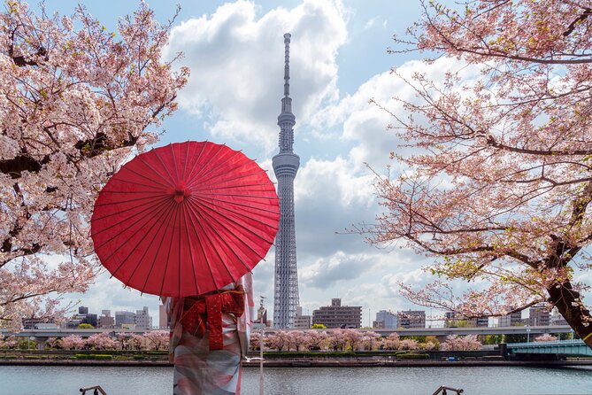 Tokyo Private Customizable Tour with English Speaking Chauffeur - Tokyo Skytree: a quick look at the city from above