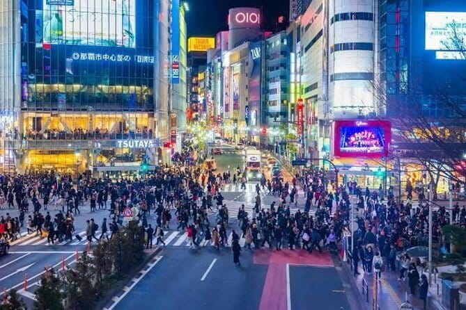 Tokyo Private Day Tour by Car with English speaking Driver - Six useful things to know before you book