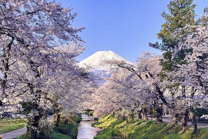 Tokyo Private Day Tour by Car with English speaking Driver - Tokyo Tower offers a retro counterpoint