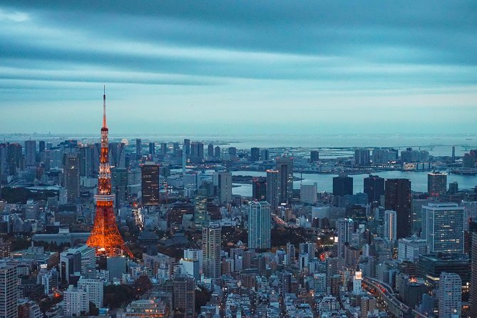 Tokyo Private Full-Day Tour by Car or Van - Tsukiji is the best place to spend lunch money