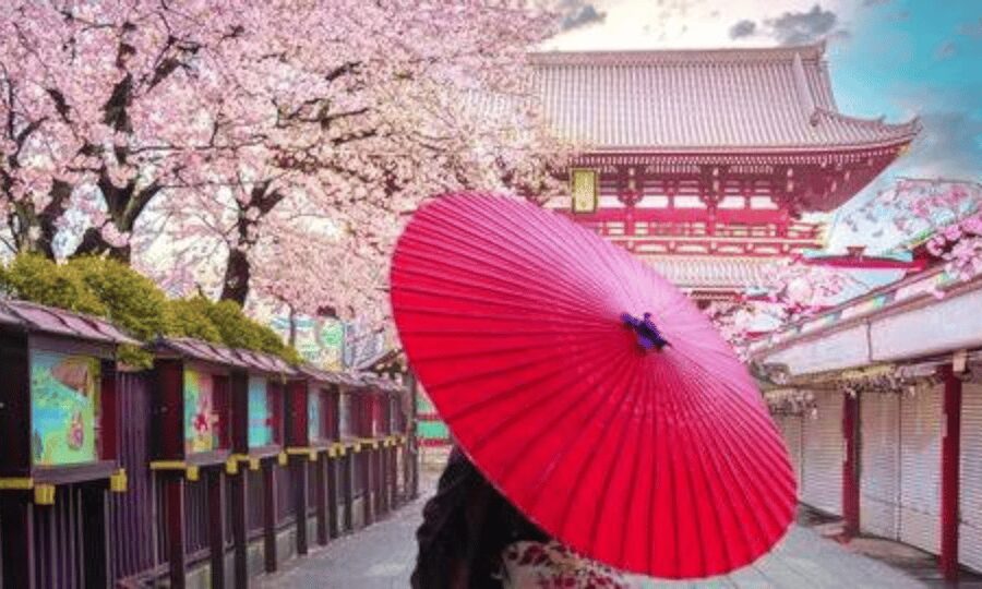 Tokyo: Private Guided Tour with Hotel Pickup and Drop-off - What this Tokyo tour is really designed to do