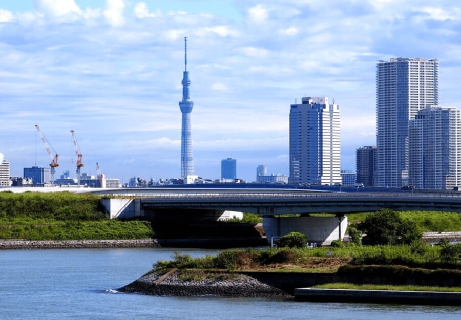 Tokyo: Private Guided Tour with Hotel Pickup and Drop-off - Meiji Shrine gives you a quiet hour near Harajuku