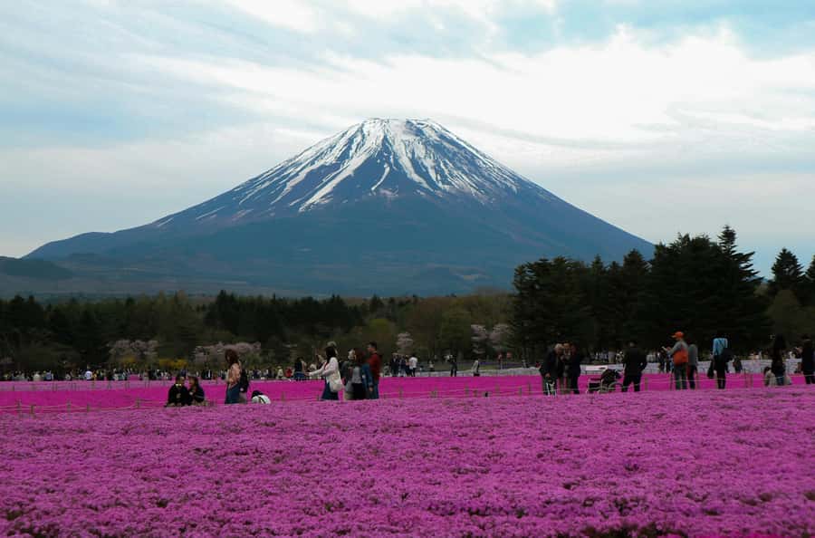 Tokyo: Private Mount Fuji Tour with Pickup and Drop-Off - Why a Private Fuji Day Makes Sense from Tokyo