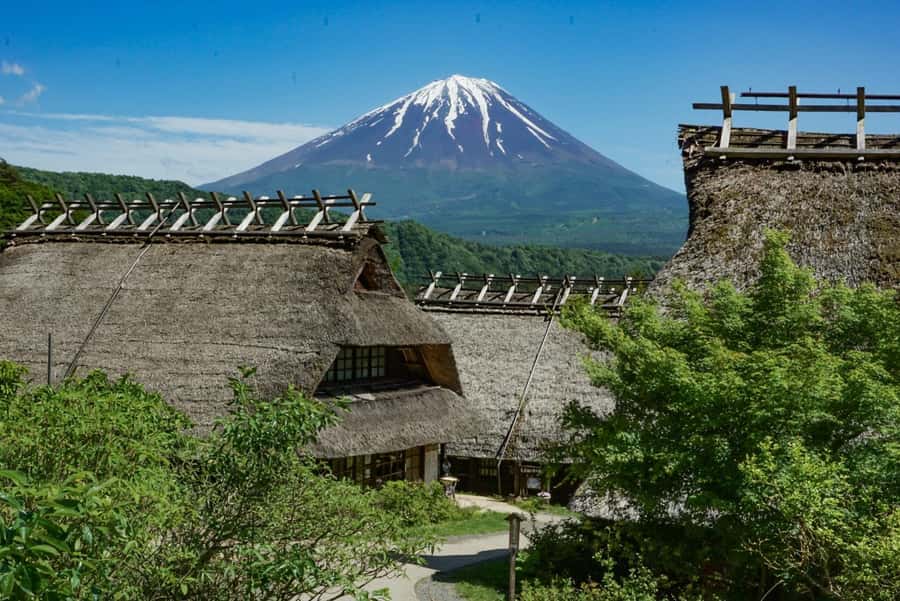 Tokyo: Private Mount Fuji Tour with Pickup and Drop-Off - Oishi Park for Flowers and Easy Photos
