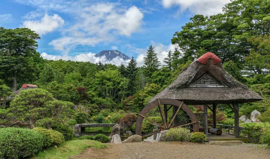 Tokyo: Private Mount Fuji Tour with Pickup and Drop-Off - Fuji 5th Station Requires Advance Planning