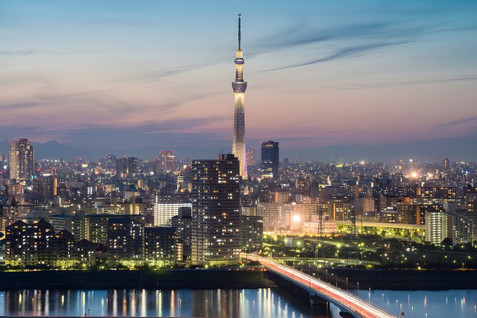 Tokyo Private Sightseeing Tour by Car and English Speaking Driver - Tokyo Tower: a classic view with a second ticket