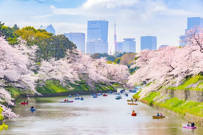 Tokyo Private Sightseeing Tour by Car and English Speaking Driver - Meiji Jingu: forest, ritual, and a quieter hour