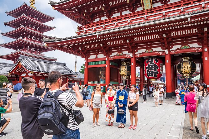 Tokyo Private Sightseeing Tour by Car- English speaking chauffeur - Why a private car makes Tokyo easier