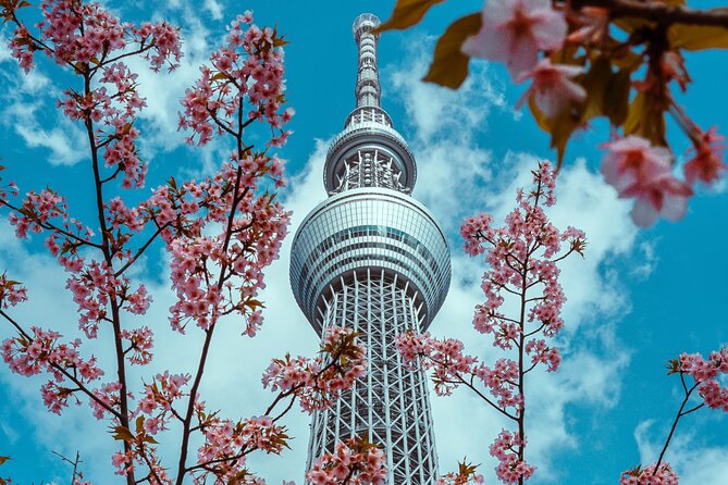 Tokyo Private Sightseeing Tour by Car- English speaking chauffeur - Shibuya Crossing and the final western Tokyo stops