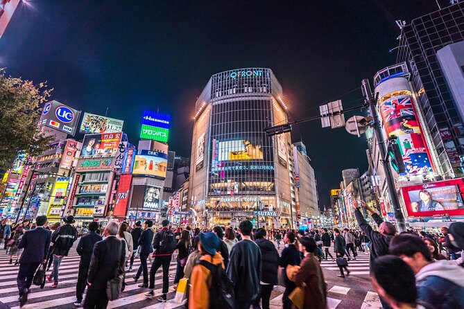 Tokyo Private Sightseeing Tour by Car - English speaking driver - Why a Private Car Makes Sense in Tokyo