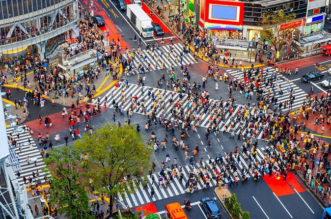 Tokyo Private Sightseeing Tour by Car - English speaking driver - Tokyo Skytree and the Choice to Pay for the View