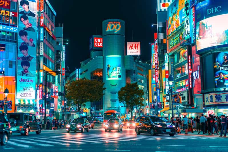 Tokyo: Private Tailored Tour with a Local Guide - Key points at a glance