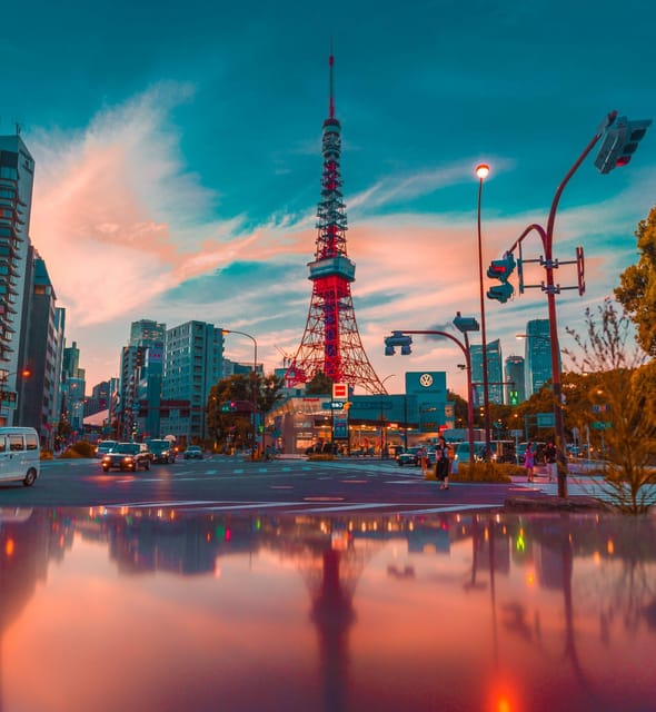 Tokyo: Private Tailored Tour with a Local Guide - Why this private Tokyo tour can be useful