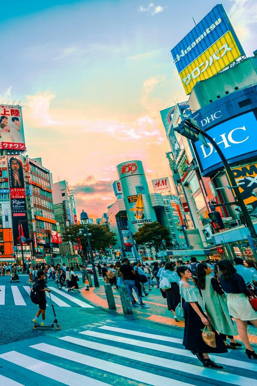 Tokyo: Private Tailored Tour with a Local Guide - Meiji Shrine and the wooded approach
