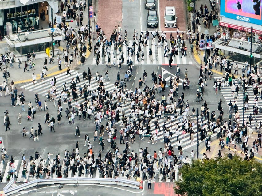 Tokyo: Private Tailored Tour with a Local Guide - Shibuya Crossing and the Hachiko statue