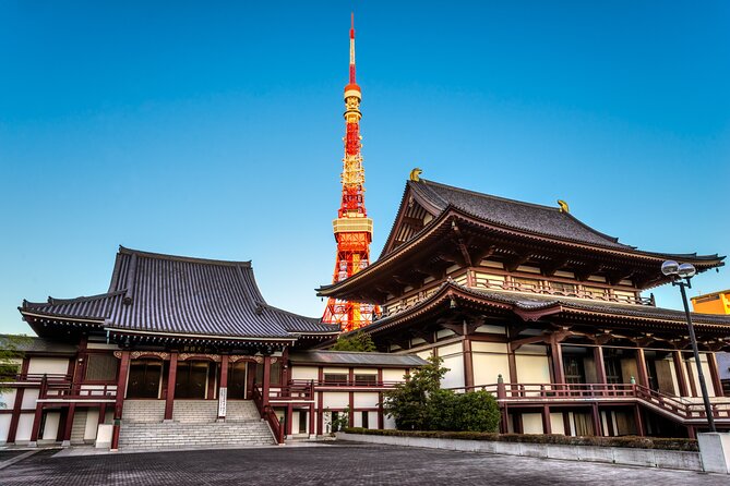 Tokyo Private Tour - Why the private vehicle matters in Tokyo