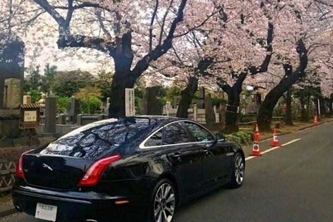 Tokyo Private Tour by Vehicle with English-Speaking Chauffeur - Why a private car makes sense in Tokyo