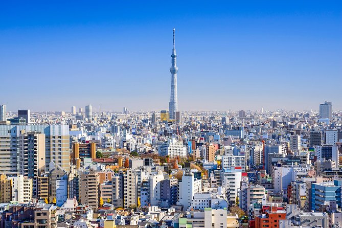 Tokyo Private Tour by Vehicle with English-Speaking Chauffeur - Meiji Jingu Shrine and a quieter side of Harajuku