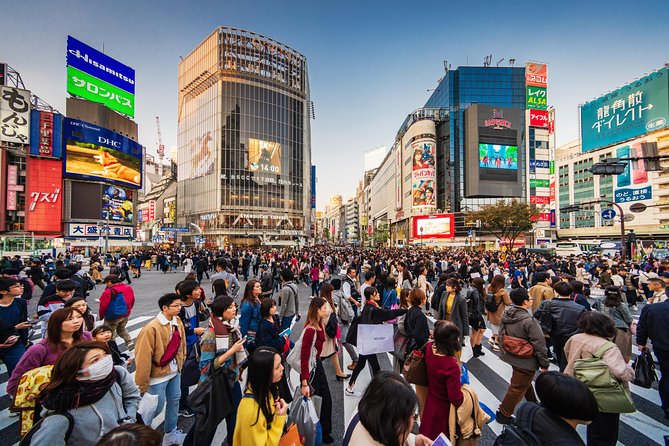 Tokyo Private Tour by Vehicle with English-Speaking Chauffeur - Shibuya Crossing and Tokyo after dark energy