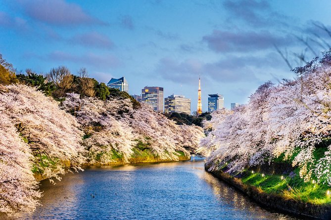 Tokyo Private Tour by Vehicle with English-Speaking Chauffeur - Sensoji Temple and the old streets of Asakusa