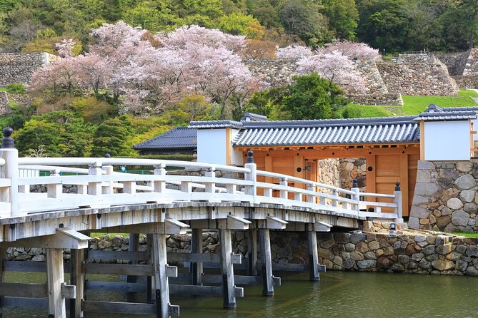 Tokyo Private Tour! Edo Castle & Imperial Palace East Gardens - Timing, meeting point, and practical planning