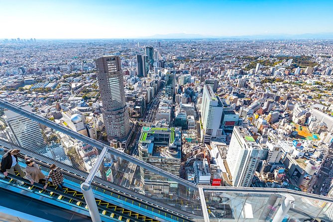 Tokyo Private Tour: One Day Highlights and Optional Shibuya Sky - Key points before you book