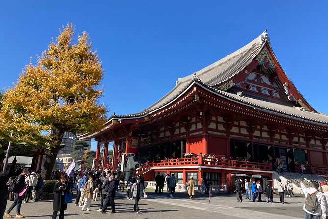 Tokyo Private Tour: One Day Highlights and Optional Shibuya Sky - Senso-ji Temple and Asakusa Shrine