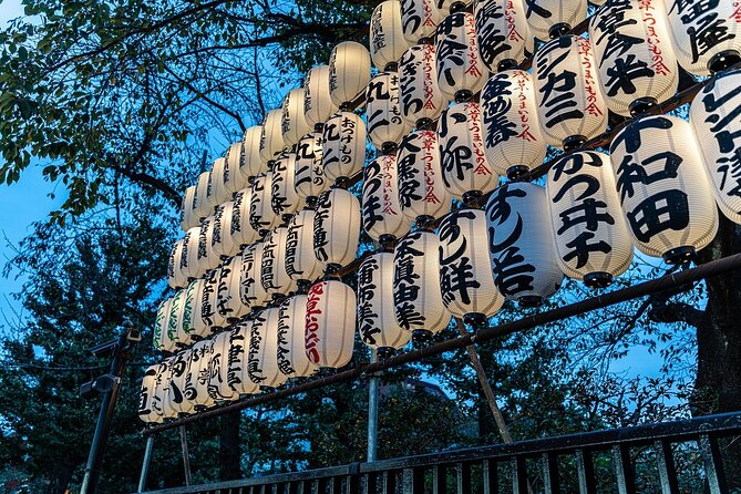 Tokyo Private Tour: Temples, Culture & Modern City Highlights - Optional Stops for History, Anime, and Kitchenware