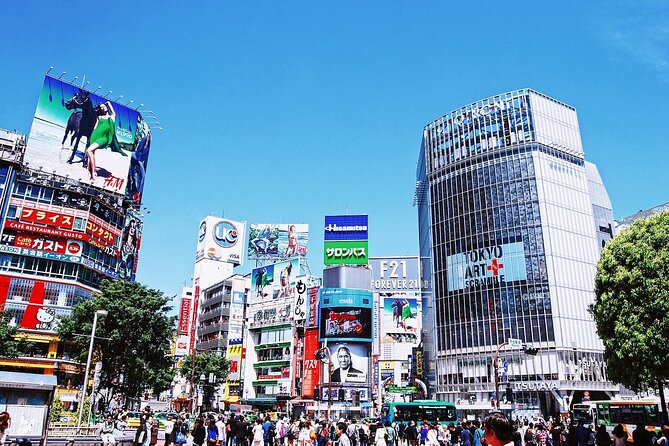 Tokyo Private Tour with Local Expert Guide – Hidden Gems - A private plan is the main selling point