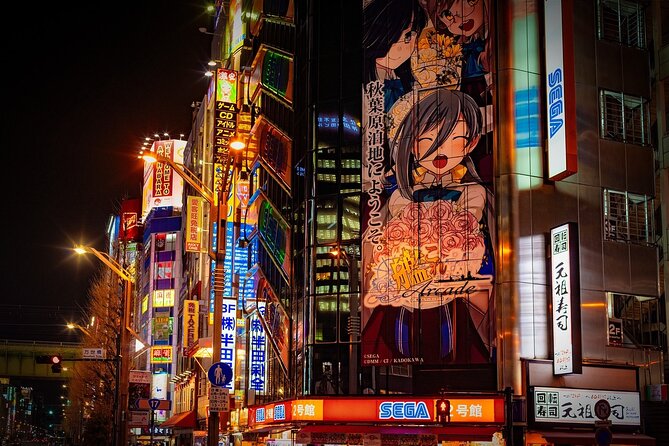 Tokyo Private Tour with Local Expert Guide – Hidden Gems - Senso-ji Temple and Asakusa’s old Tokyo feel