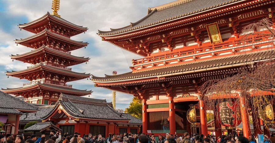 Tokyo: Private Walking Tour with a Local Guide - Key points to know before booking