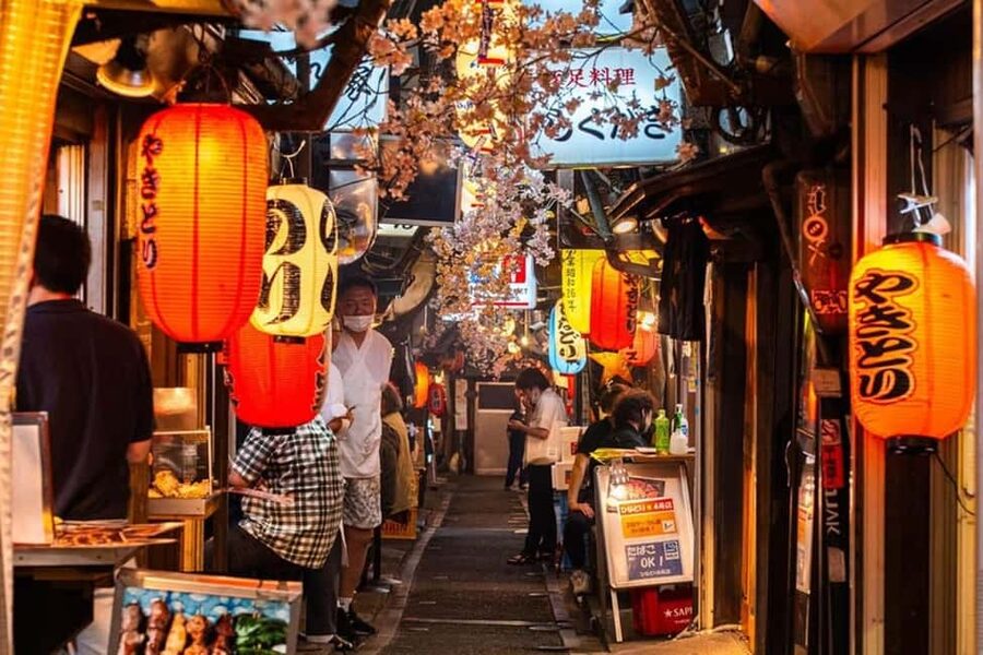 Tokyo: Private Walking Tour with a Local Guide - A private introduction to Tokyo, not a fixed sightseeing march