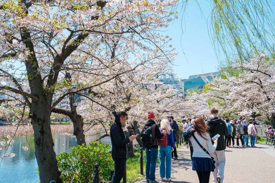 Tokyo: Private Walking Tour with a Local Guide - Ueno and Ameya-Yokocho: markets, food, and everyday Tokyo