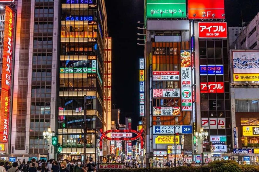 Tokyo: Private Walking Tour with a Local Guide - Meiji Shrine: a quieter pause beside the city