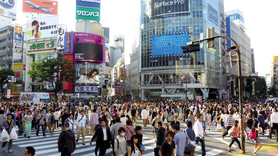 Tokyo: Private Walking Tour with a Local - Meeting Your Lokafyer in Central Tokyo