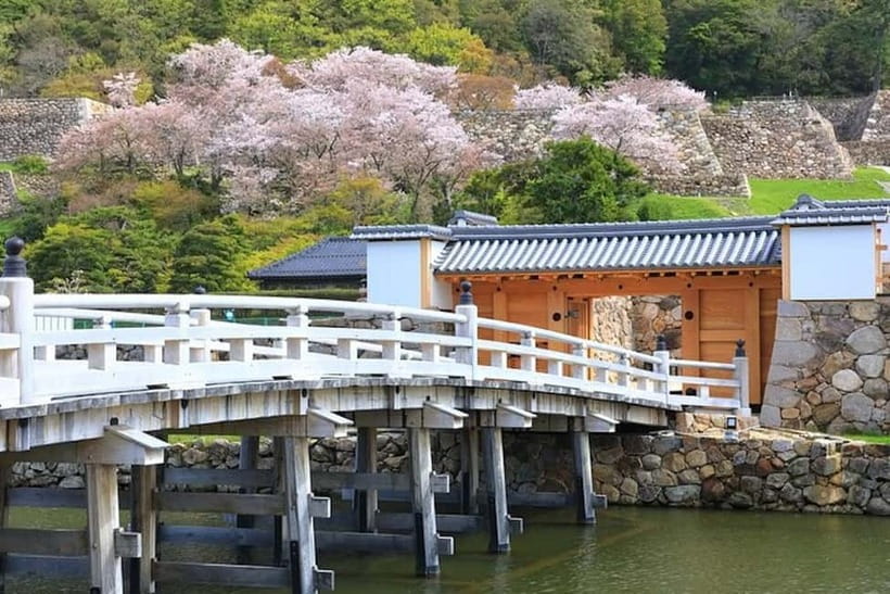 Tokyo: Pvt. Tour - Edo Castle & Imperial Palace East Gardens - Who should book this walk?