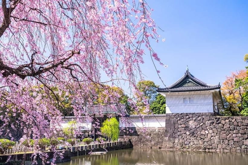 Tokyo: Pvt. Tour - Edo Castle & Imperial Palace East Gardens - Entering the East Gardens and passing the historic gate