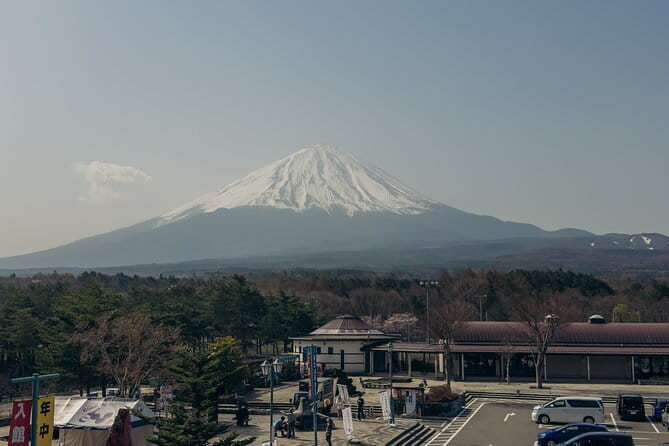 Tokyo: Shinjuku Historical Walking Tour & Secret Backstreets - Hanazono Shrine, a quiet final stop