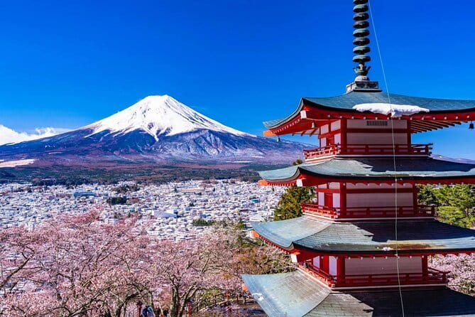 Tokyo Small Group Tour with Guide - Harajuku and the city’s youthful side