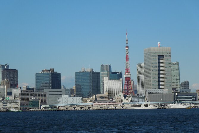 Tokyo Spectacular View Day-Cruise in 90 Minutes - Daylight or night sailing?