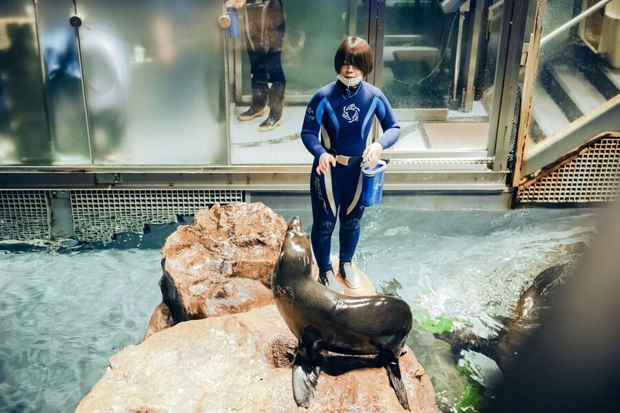 Tokyo: Sumida Aquarium Entry Ticket - A Flexible Route Through the Aquarium