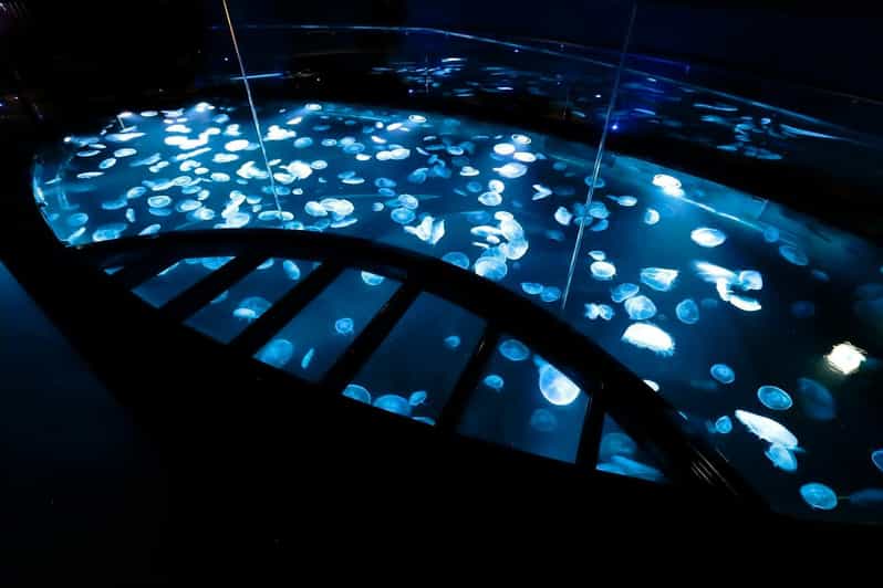 Tokyo: Sumida Aquarium Entry Ticket - Practical Rules That Affect Your Visit
