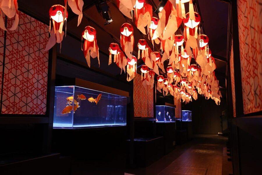 Tokyo: Sumida Aquarium Entry Ticket - Who Will Enjoy Sumida Aquarium Most?