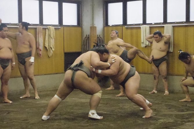 Tokyo Sumo Morning Practice Tour at Stable - Why a training stable can beat a tournament