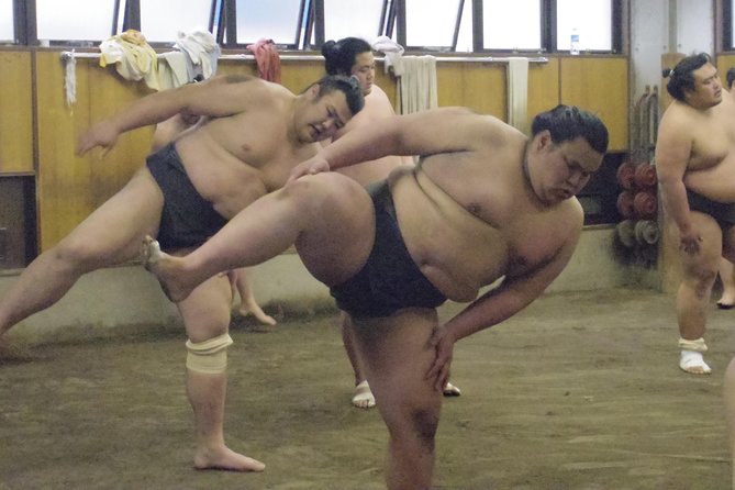 Tokyo Sumo Morning Practice Tour at Stable - How the English commentary helps, and where it falls short