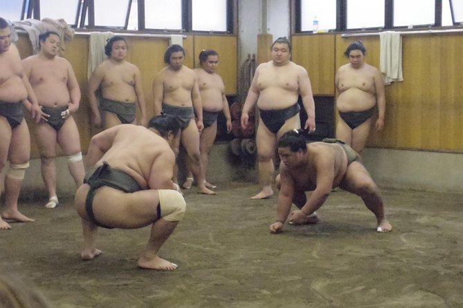 Tokyo Sumo Morning Practice Tour at Stable - Watching the wrestlers train for about 90 minutes