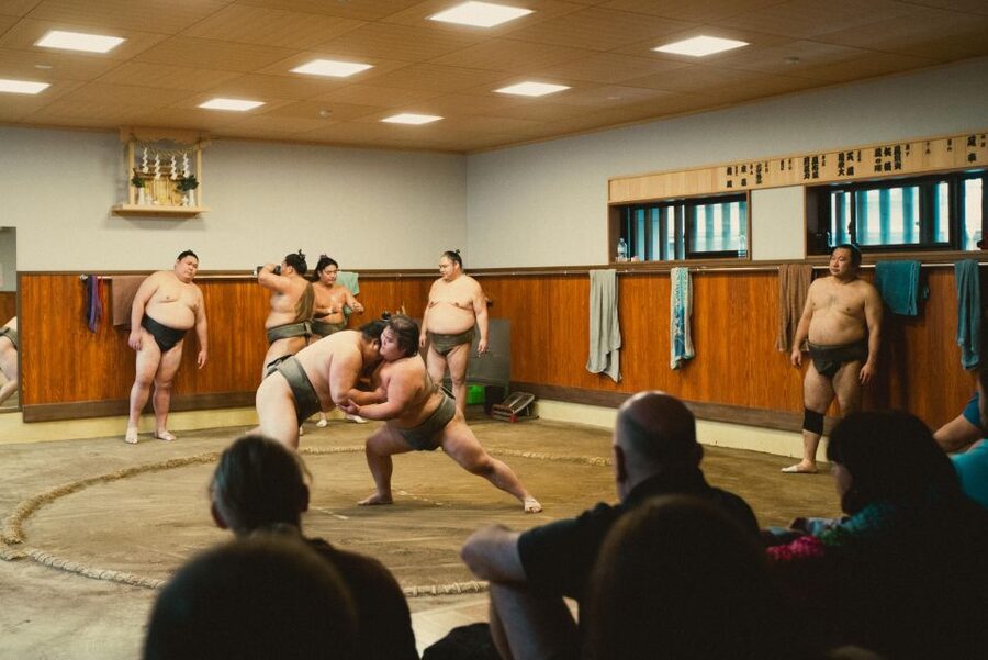 Tokyo: Sumo Morning Practice Tour at Sumida City - Is $116 a fair price?