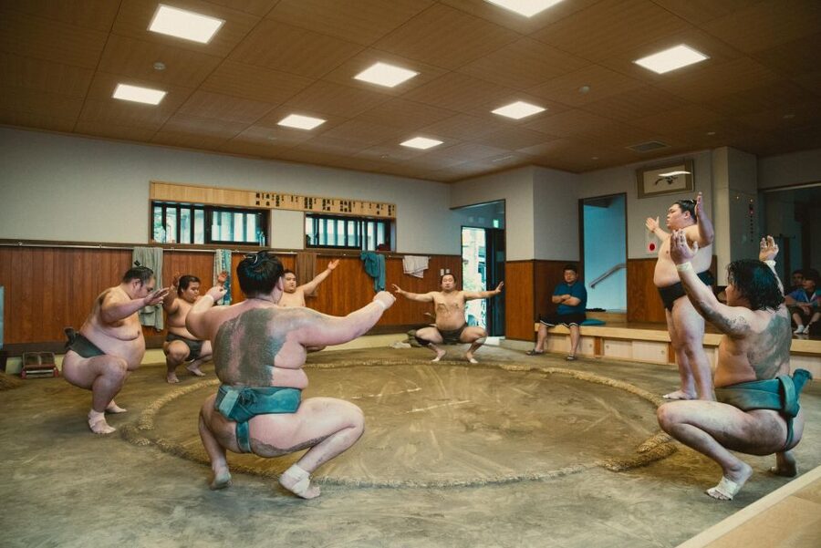 Tokyo: Sumo Morning Practice Tour at Sumida City - Watching 90 minutes of serious practice